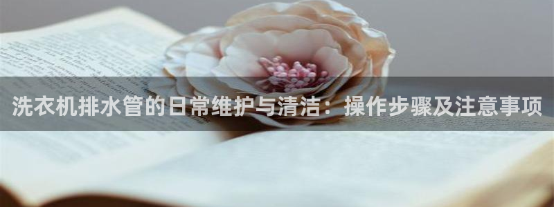 威九国际网站传媒