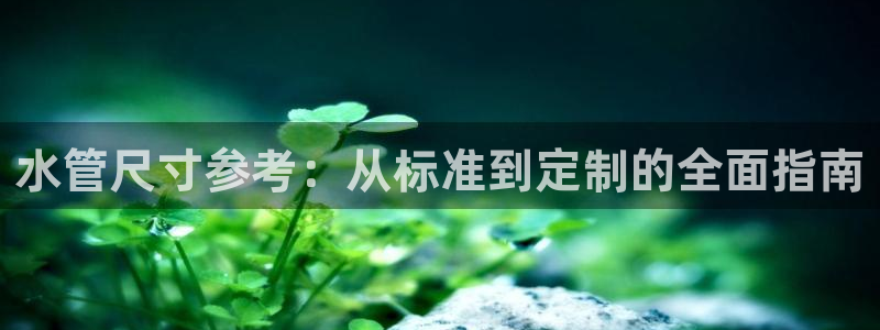 威九国际免费版
