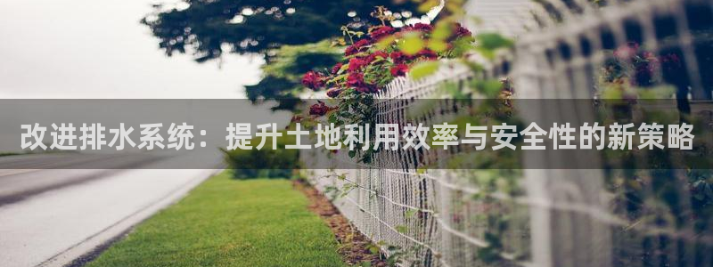 威九国际Info