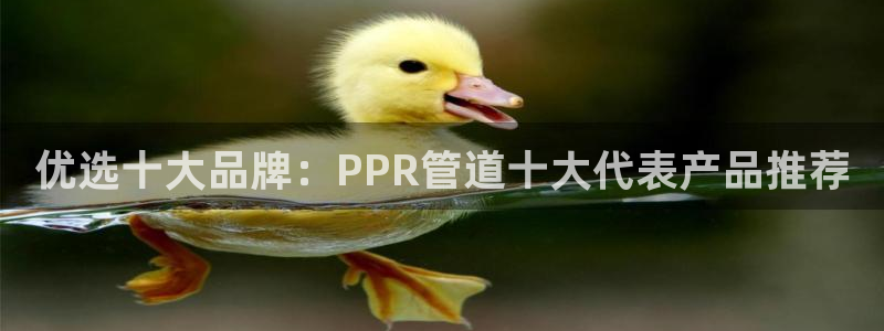 保定威九网络科技有限公司