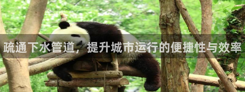 威九国际最近的视频