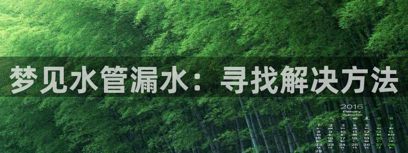 威九国际com