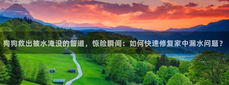 威九国际78mb官网版