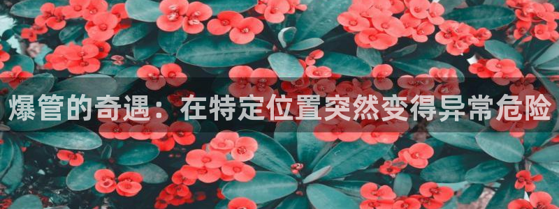 威九国际精