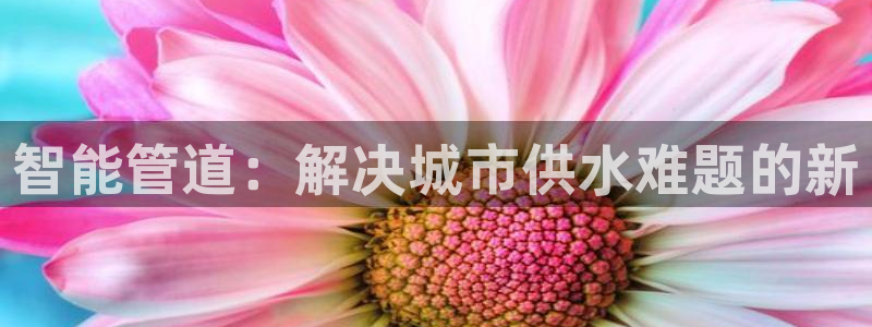威九国际的女主
