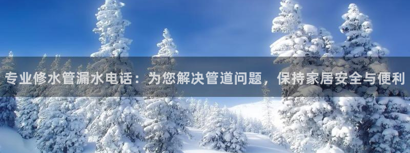 威九国际78cm