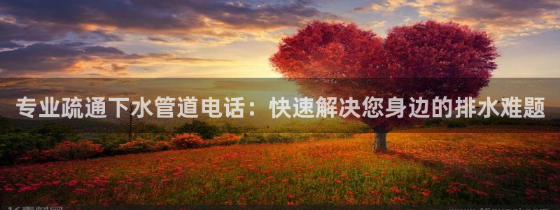威九国际取款不会被骗吧吗