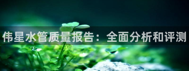 威九国际女