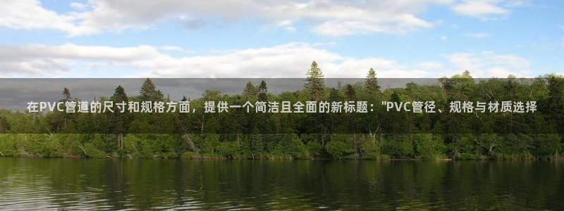 威九国际MV