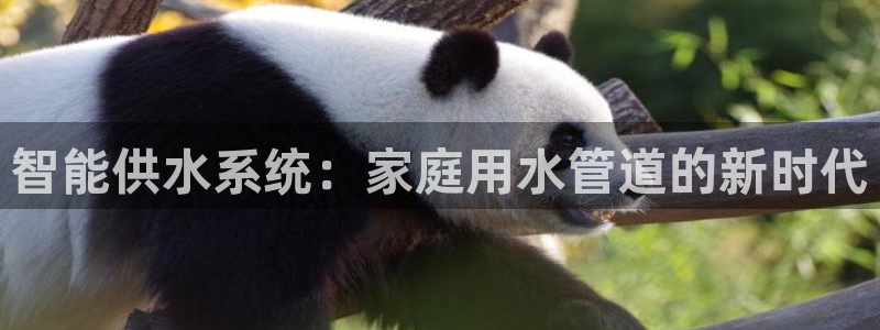 威九国际网站经常打不开
