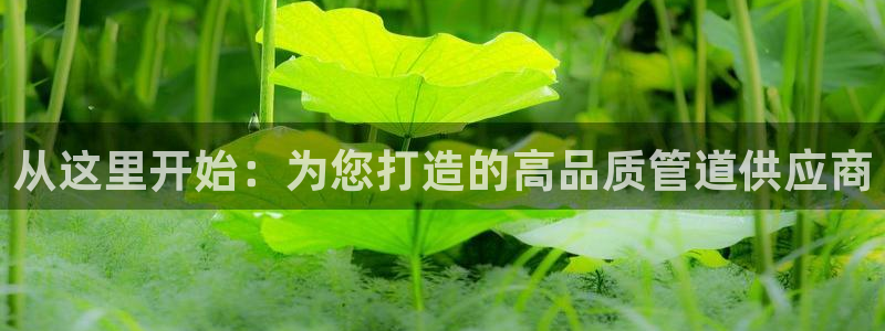 威九国际软件公司简介