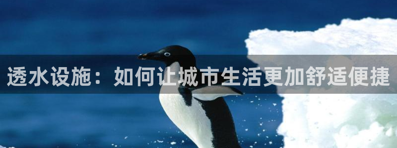 威九国际网站入口rdquo