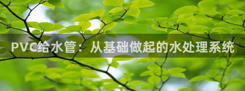 威九国际空降视频