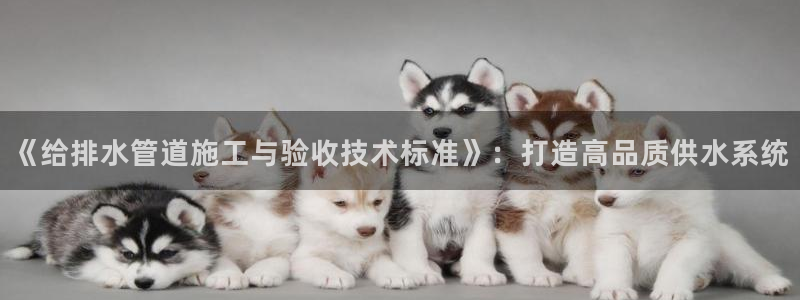 威九国际app
