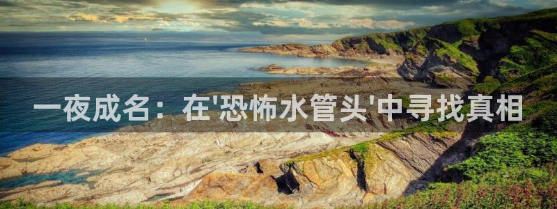 威九国际78mob官网版