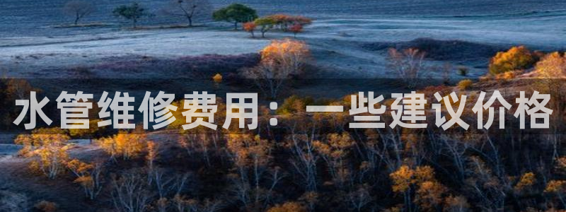 威九国际66m66官网