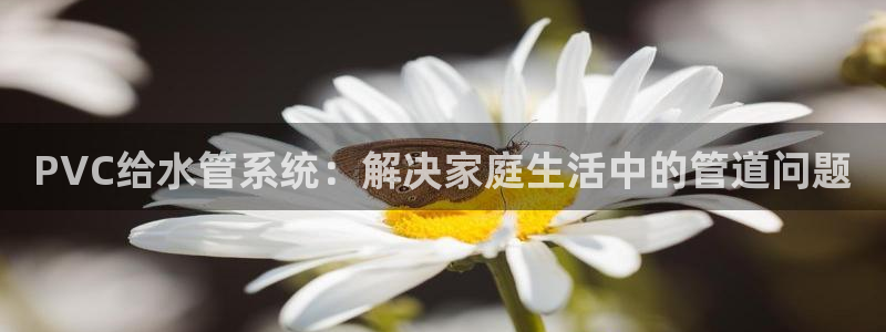 威九国际vA9618