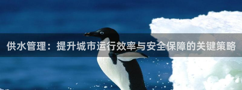 威九国际ppt免费下载