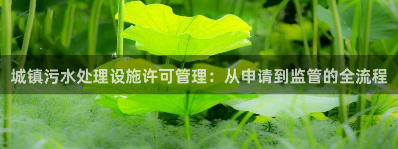 威九国际app入口官网