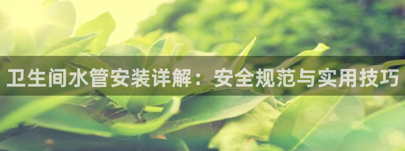威九国际ppt官网