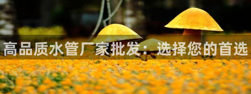 威九国际v96 bet会黑吗