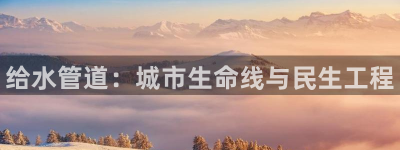 威九国际免费版