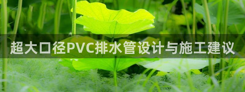 78mapp威九国际官网版