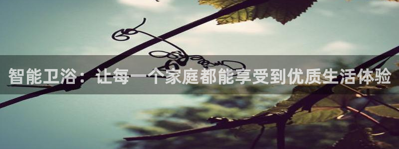 威九国际合作伙伴有哪些