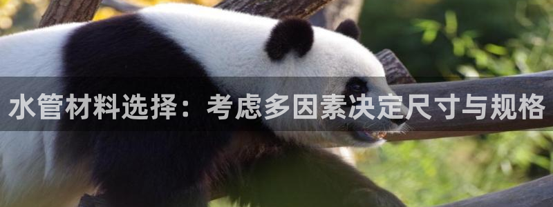 威九国际精彩视频2022年
