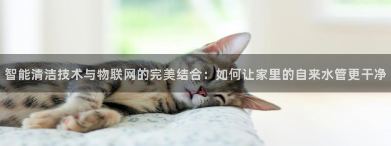 威九国际新