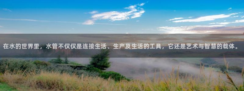 威九国际v96BET