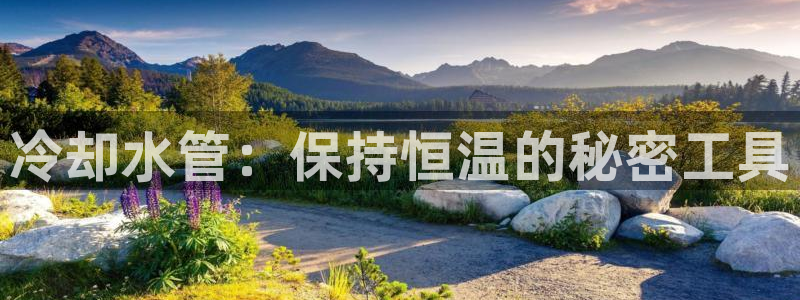 78mapp威九国际一
