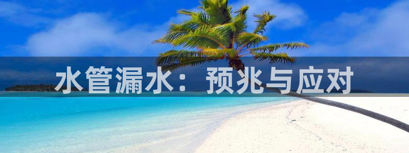 威九国际网站怎么样可靠吗