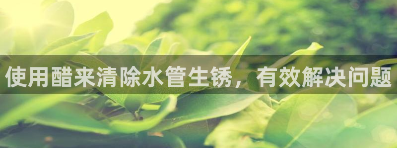 威九国际APP