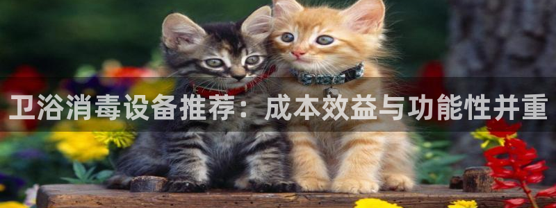 威九国际网站入口官网免费下载