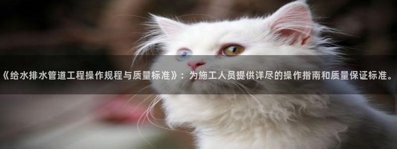 78mapp威九国际网页版