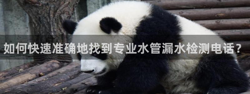 66m成长模式视频威九国际视频