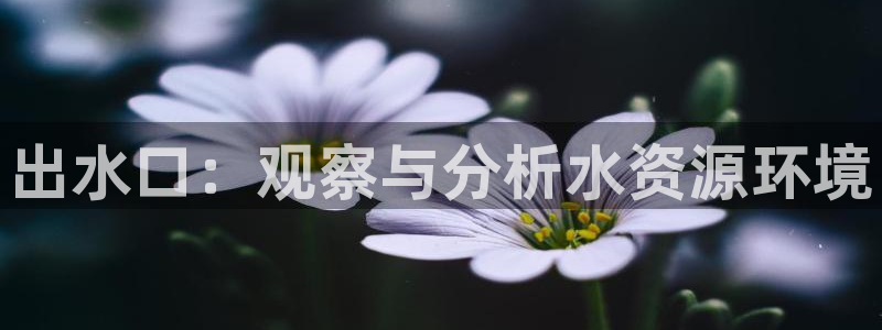 威九国际78M.APP