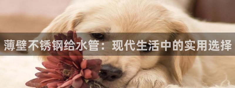 威九国际app网站