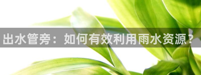 威九国际瘫痪丈夫眼见证