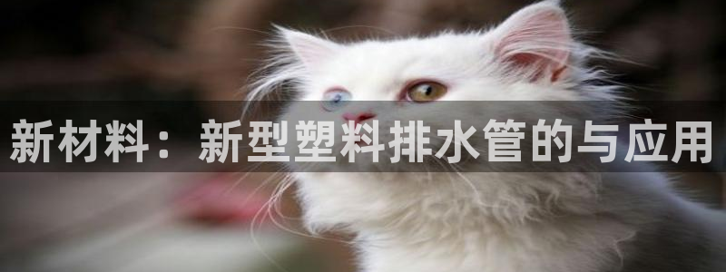 威九国际女艺人