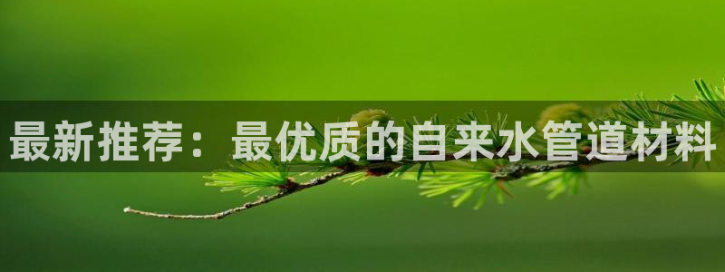 威九国际78cm
