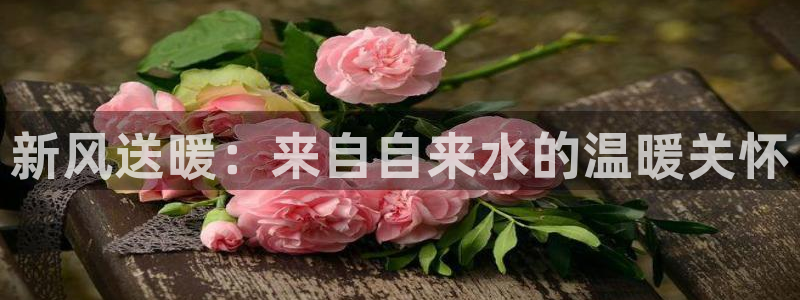 威九国际网站入口地址查询