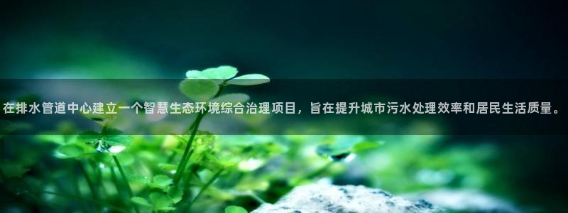 威九国际app无法登陆怎么回事
