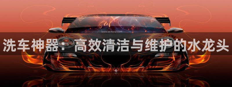 威九国际成长模式