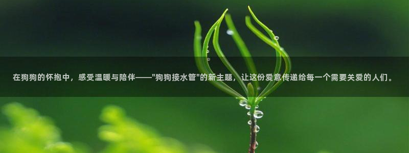 威九国际的演员