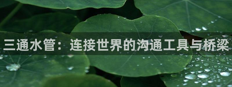 威九国际电子游戏
