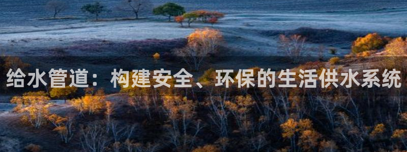 威九国际的金融服务有哪些