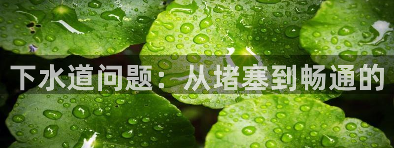 威九国际免费
