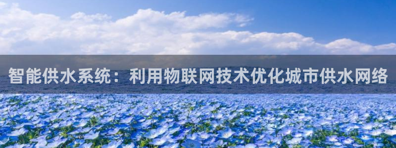 威九国际的女主